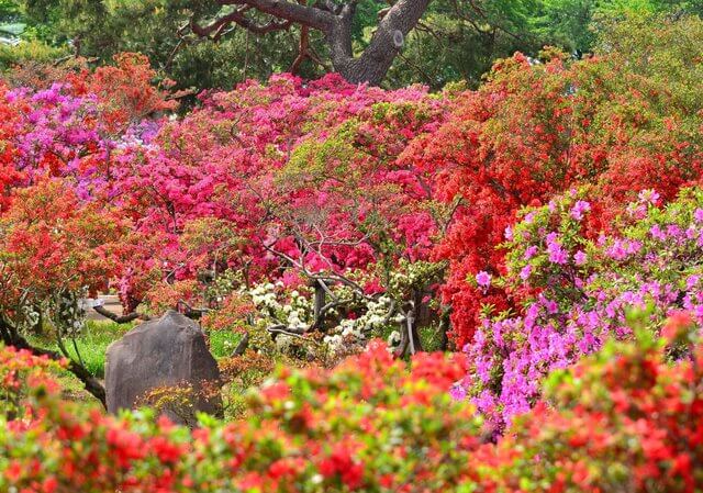 일본 해외여행지 추천 TOP 7 - 간토 (관동) 당일치기 또는 1박2일 코스