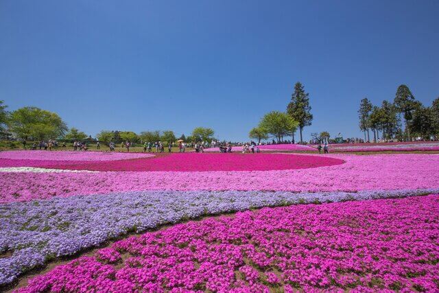 일본 해외여행지 추천 TOP 7 - 간토 (관동) 당일치기 또는 1박2일 코스