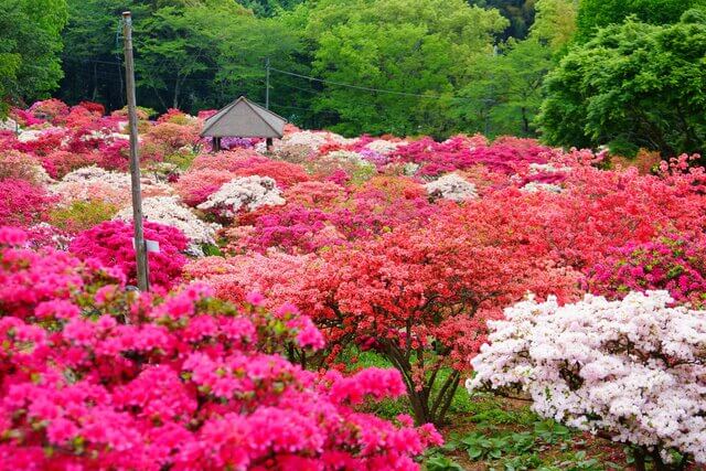 일본 해외여행지 추천 TOP 7 - 간토 (관동) 당일치기 또는 1박2일 코스