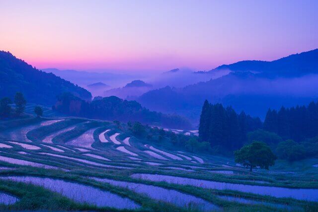 일본 해외여행지 추천 TOP 7 - 간토 (관동) 당일치기 또는 1박2일 코스