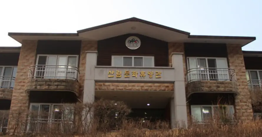 남해 가볼만한곳 국립남해 편백자연휴양림 산림문화원