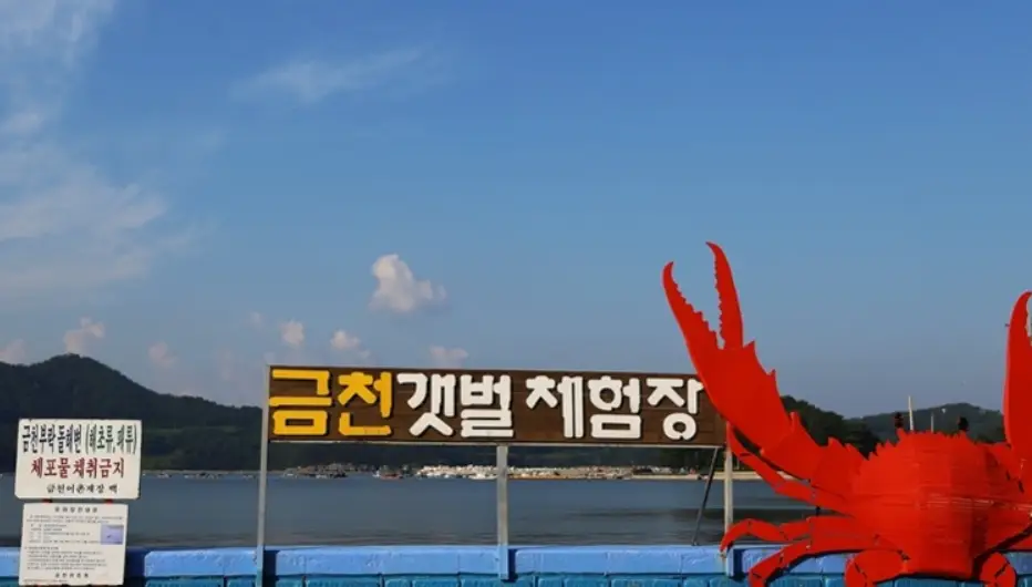 남해 가볼만한곳 금천갯벌체험장