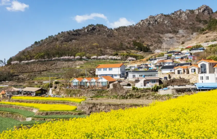 남해 가볼만한곳 남해가천 다랭이마을 갯벌